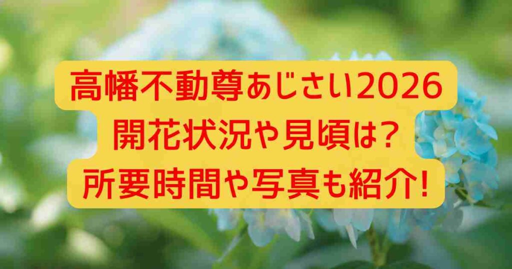 高幡不動尊あじさい2026開花状況や見頃は?所要時間や写真も紹介!