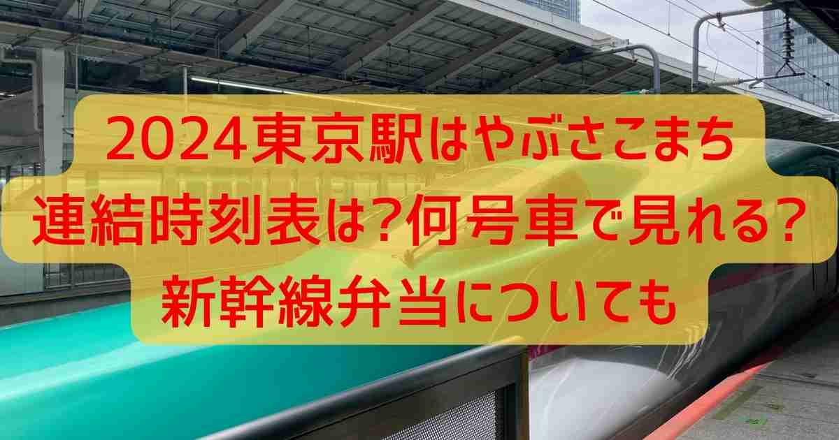 2024東京駅はやぶさこまち連結時刻表は?何号車で見れる?新幹線弁当についても