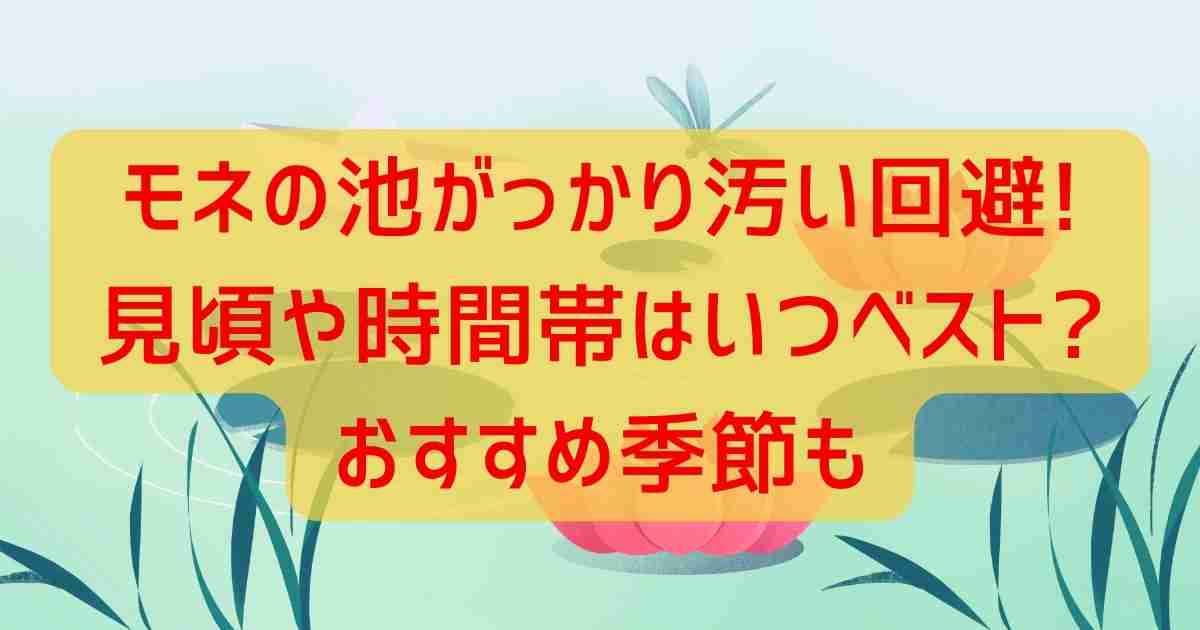 モネの池がっかり汚い回避!見頃や時間帯はいつベスト?おすすめ季節も