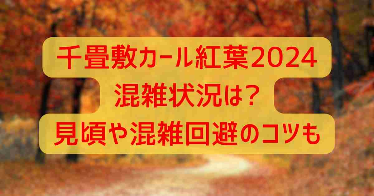 千畳敷カール紅葉2024混雑状況は?見頃や混雑回避のコツも