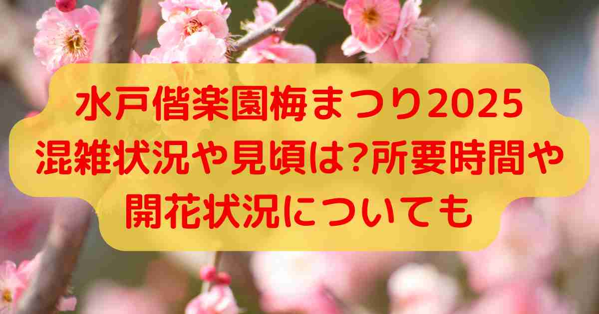 水戸偕楽園梅まつり2025混雑状況や見頃は?所要時間や開花状況についても