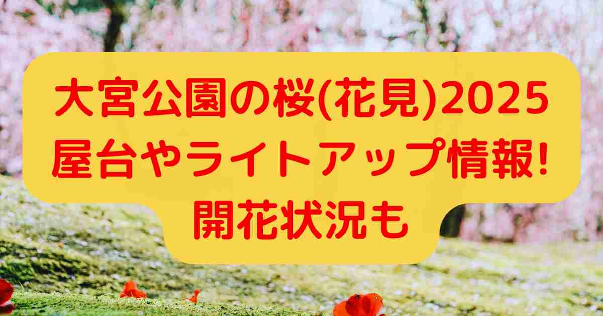 大宮公園の桜(花見)2025 屋台やライトアップ情報!開花状況も