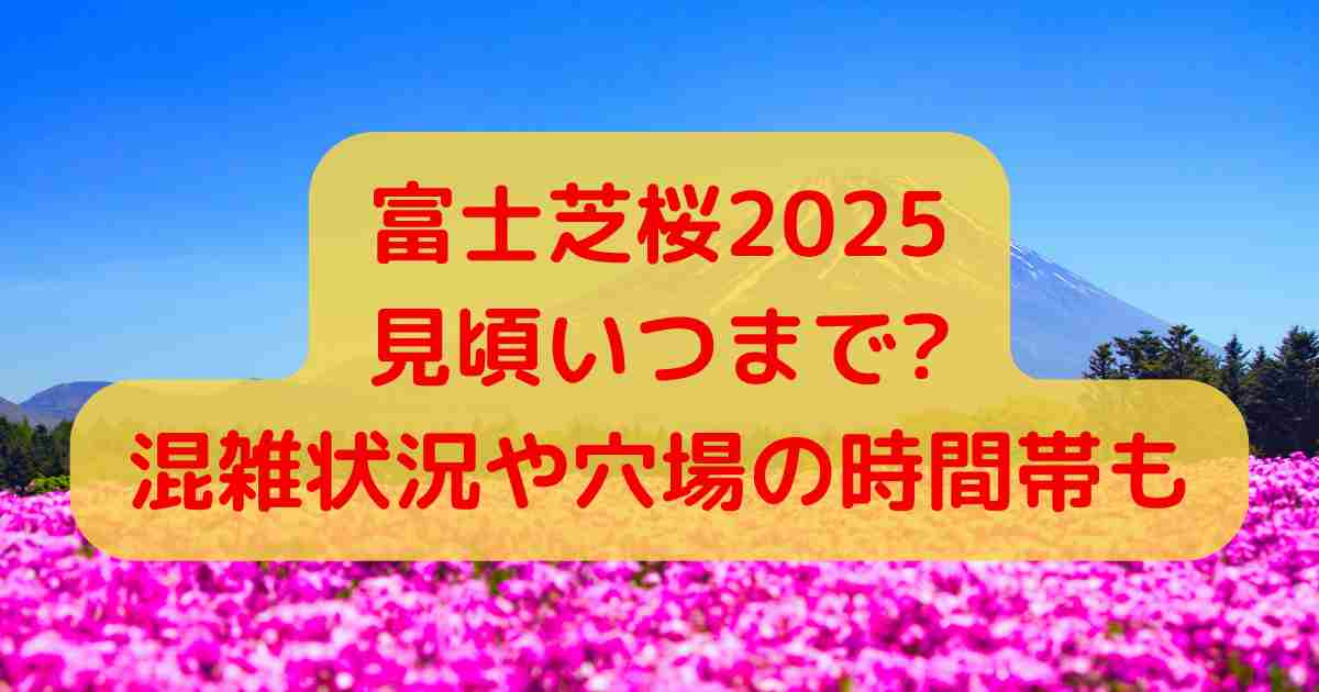 富士芝桜2025見頃いつまで?混雑状況や穴場の時間帯も