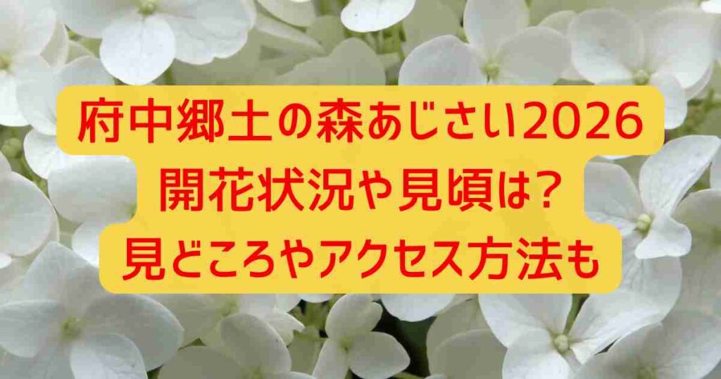 府中郷土の森あじさい2026開花状況や見頃は?見どころやアクセス方法も