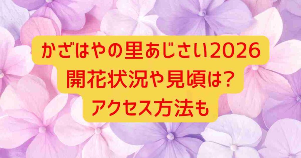 かざはやの里あじさい2026開花状況や見頃は?アクセス方法も