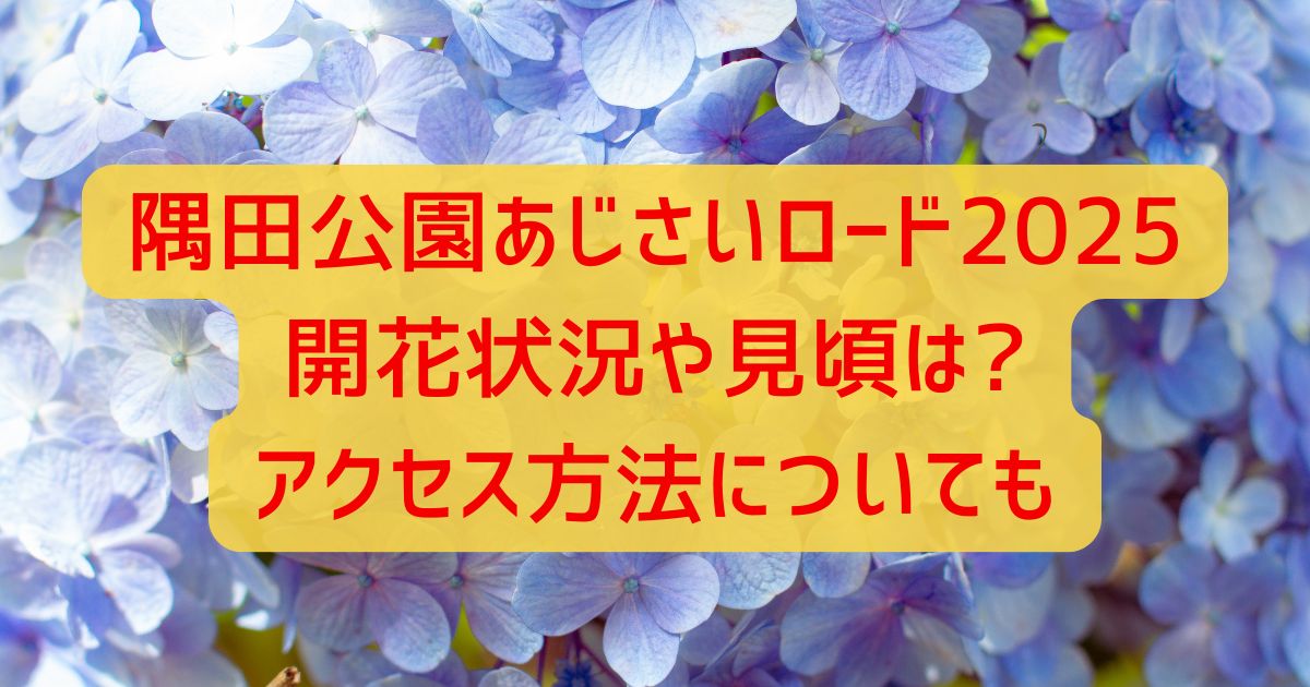 隅田公園あじさいロード2025開花状況や見頃は?アクセス方法についても
