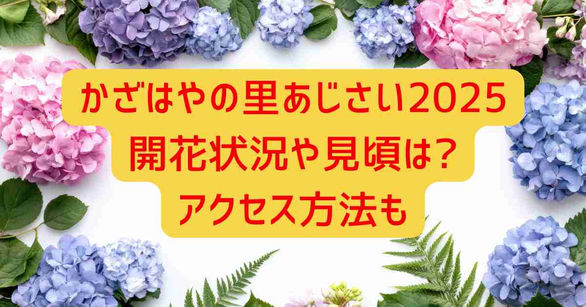 かざはやの里あじさい2025開花状況や見頃は?アクセス方法も