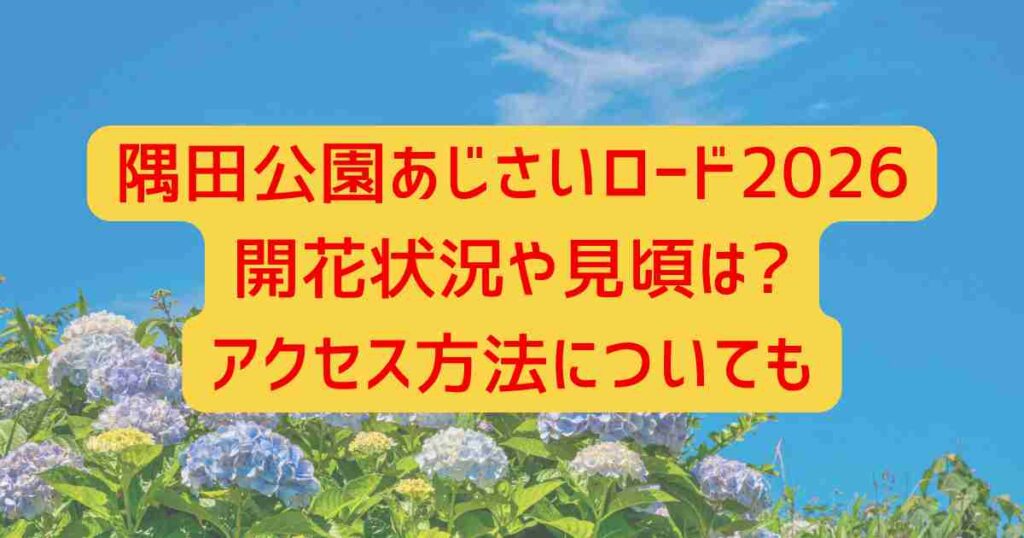 隅田公園あじさいロード2026開花状況や見頃は?アクセス方法についても