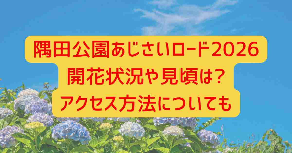 隅田公園あじさいロード2026開花状況や見頃は?アクセス方法についても