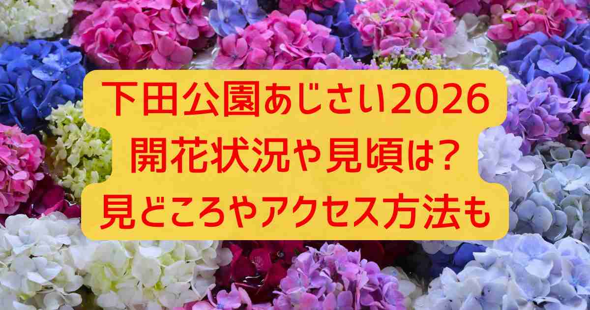 下田公園あじさい2026開花状況や見頃は?見どころやアクセス方法も