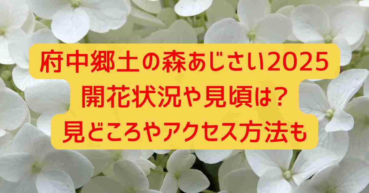 府中郷土の森あじさい2025開花状況や見頃は?見どころやアクセス方法も