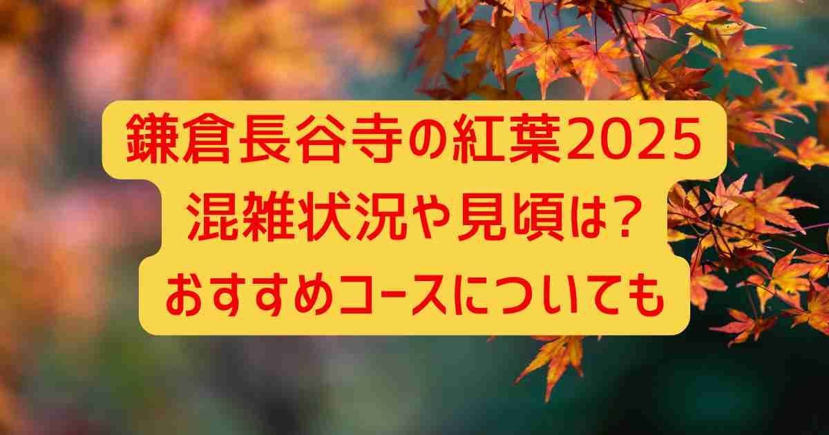 鎌倉長谷寺の紅葉2025混雑状況や見頃は?おすすめコースについても