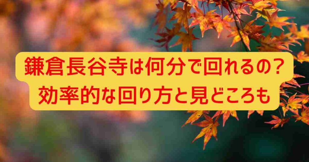 鎌倉長谷寺は何分で回れるの?効率的な回り方と見どころも