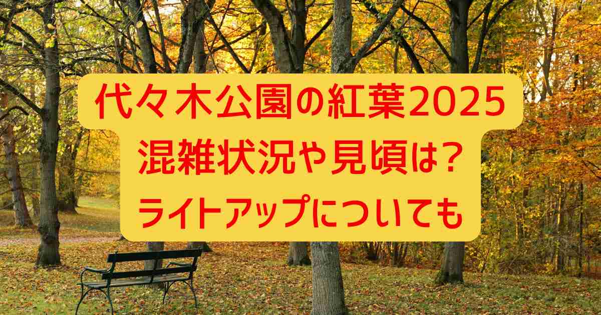 代々木公園の紅葉2025混雑状況や見頃は?ライトアップについても